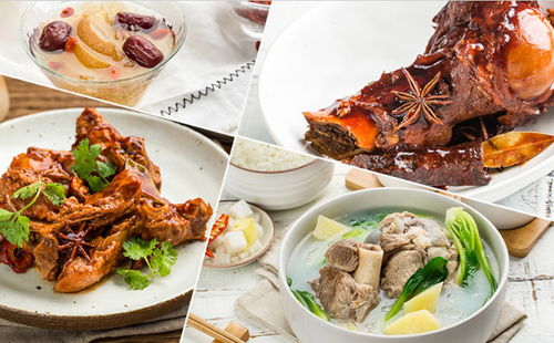 傳世骨頭飯加盟全解析 費用、條件與餐飲管理服務(wù)